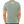 Load image into Gallery viewer, Lake City Cider Sage Green T-Shirt
